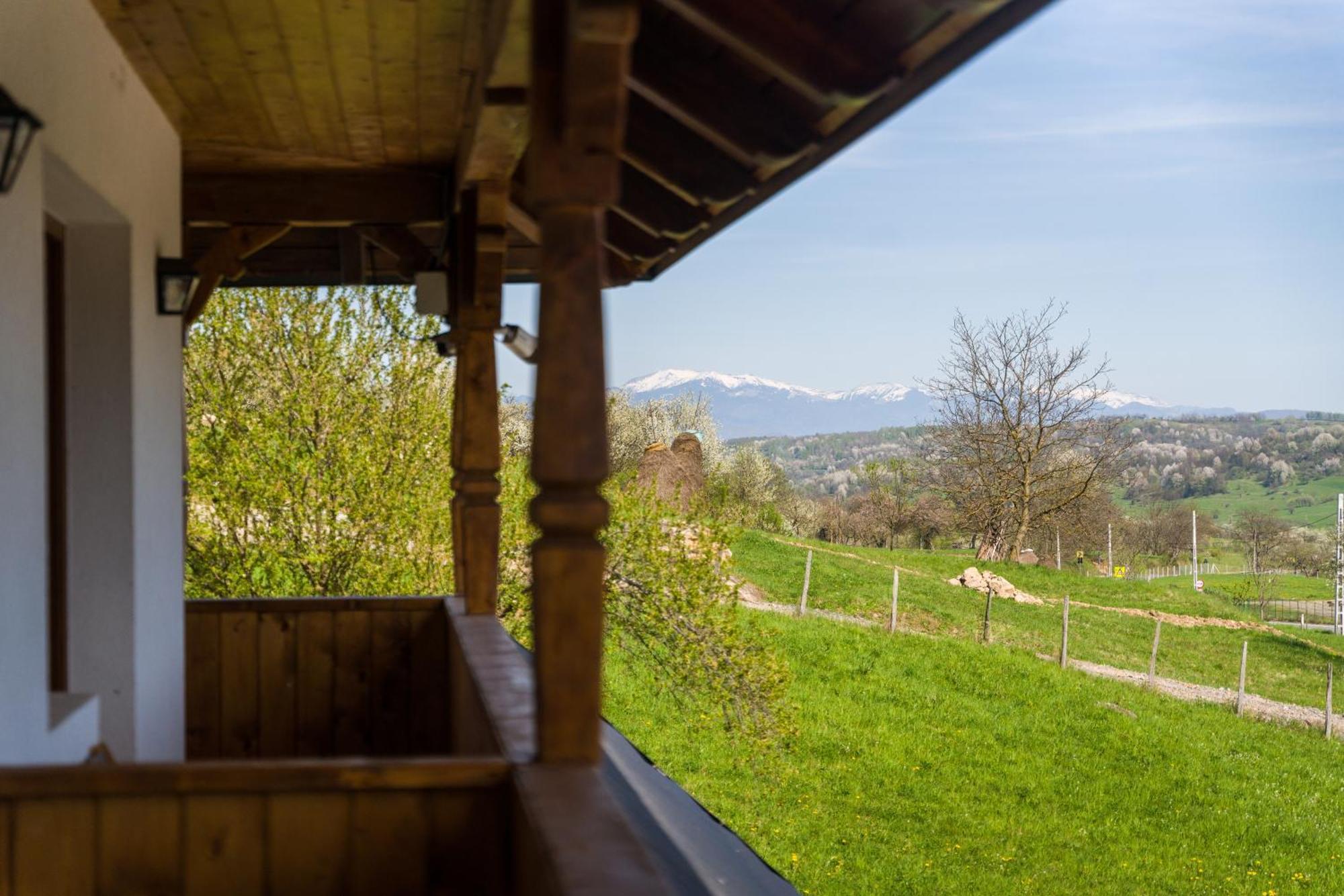 Pensiunea Roca Maramures Desesti Exterior photo
